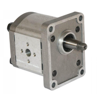 Casappa tandwielmotor PLM20R 16cc 82E2