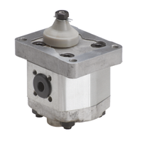 Hydrauliek tandwielpomp 8cc groep 10 conische as 1:8 rechts