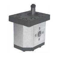 Hydrauliek tandwielmotor 30MR serie 55cc