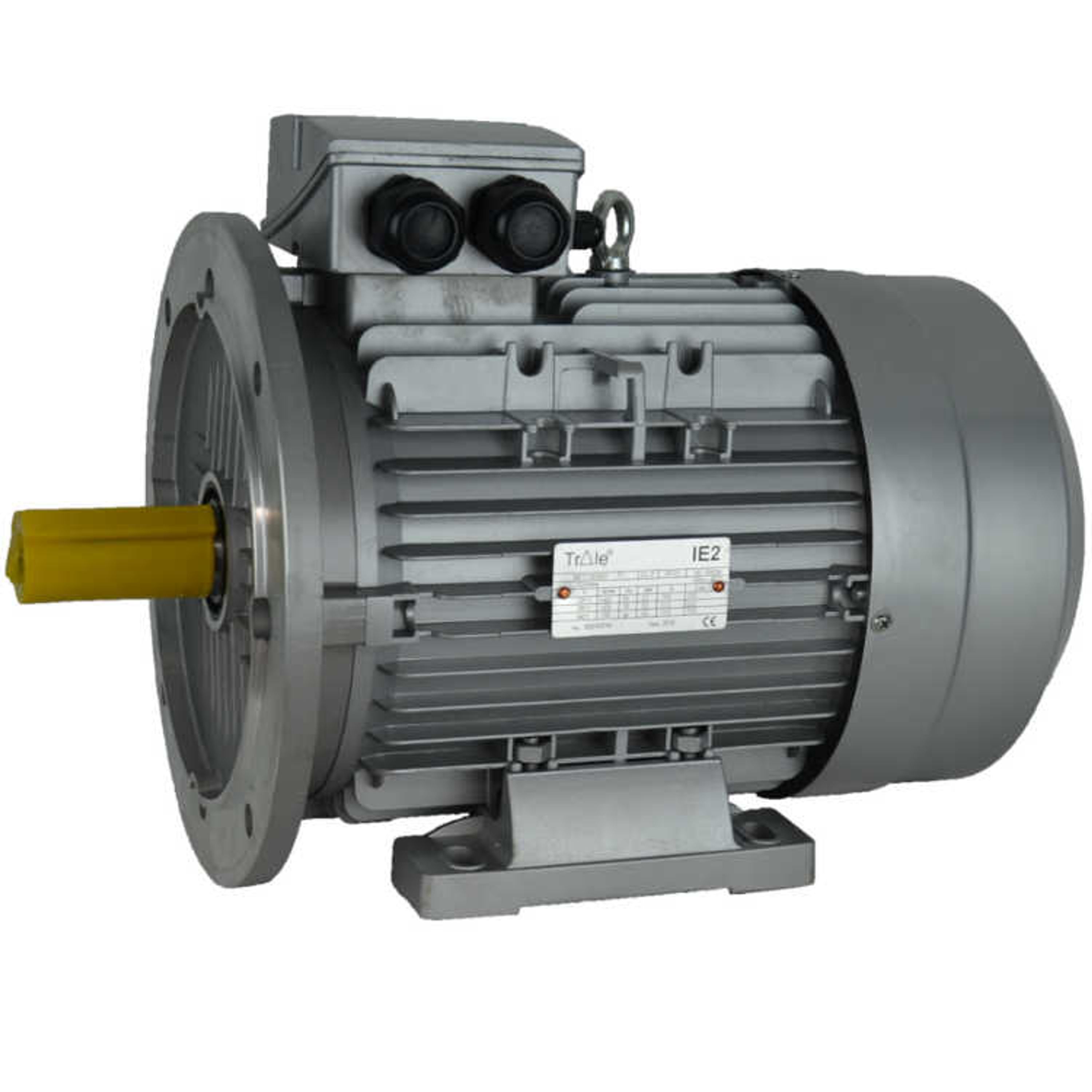IE1-EG Elektromotor 15 kW, 230/400 Volt 1500 RPM