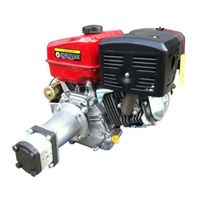 PTM390pro petrol engine with pre-mounted 10cc gear pump - pump group 02